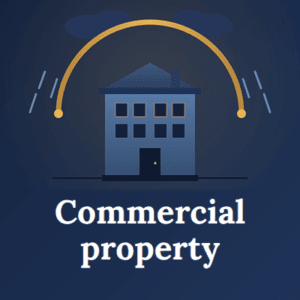 property3